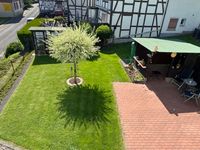 6 Garten und Terrasse